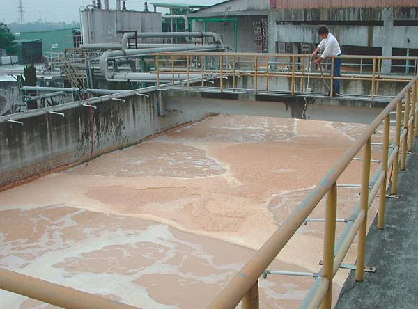 Tsurumi pump BER series